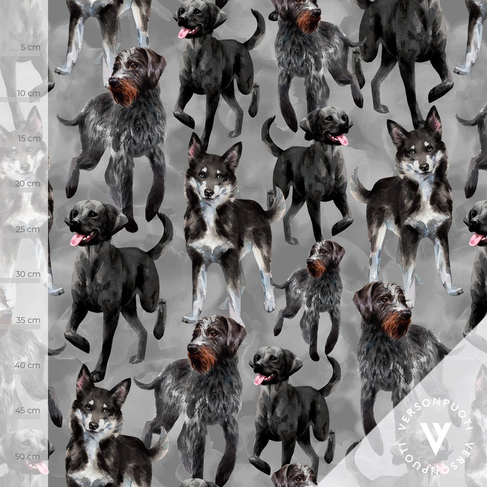 Doglove (harmaa) joustocollege