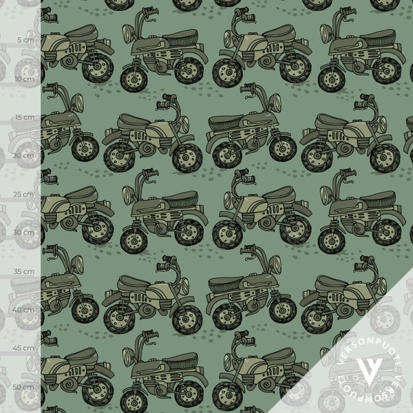 P&auml;rin&auml;t (vihre&auml;) joustocollege